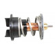  Thermostat, liquide de refroidissement ()