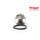 Thermostat, liquide de refroidissement