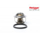 Thermostat, liquide de refroidissement