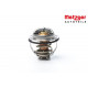 Thermostat, liquide de refroidissement