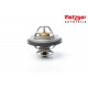 Thermostat, liquide de refroidissement