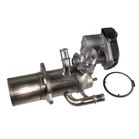  Module-EGR ()