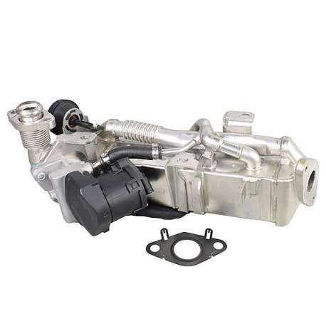  Module-EGR ()