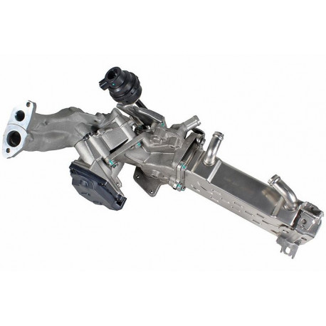 Module-EGR ()