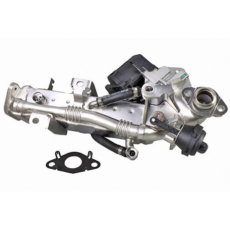  Module-EGR ()