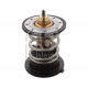  Thermostat, liquide de refroidissement ()