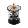 Thermostat, liquide de refroidissement