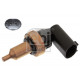  Sonde, température du liquide de refroidissement ()
