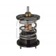  Thermostat, liquide de refroidissement ()