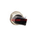 Capteur, pression de carburant